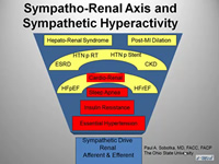 Catheter-based Renal Denervation (RDN) Treatment for Hypertension