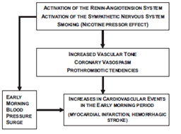 White WB Hypertension 2010