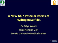 A new NO? - vascular effects of hydrogen sulfide 